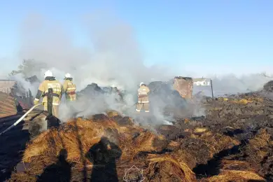 В Костанайской области сгорели хозпостройки и сено 